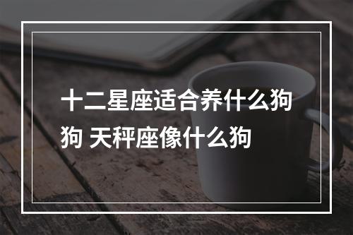 十二星座适合养什么狗狗 天秤座像什么狗