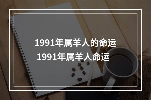 1991年属羊人的命运 1991年属羊人命运