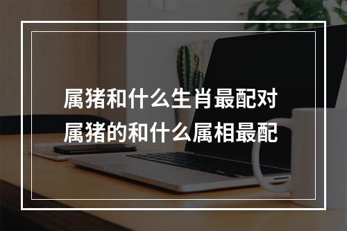 属猪和什么生肖最配对 属猪的和什么属相最配