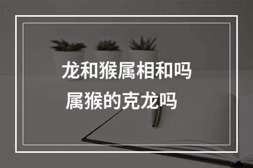 龙和猴属相和吗 属猴的克龙吗