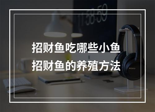 招财鱼吃哪些小鱼 招财鱼的养殖方法