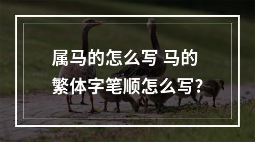 属马的怎么写 马的繁体字笔顺怎么写?