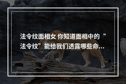 法令纹面相女 你知道面相中的“法令纹”能给我们透露哪些命理含义吗?