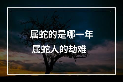 属蛇的是哪一年 属蛇人的劫难