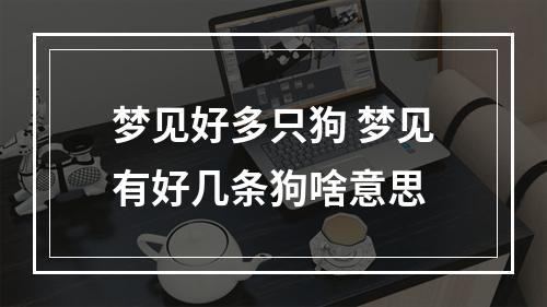 梦见好多只狗 梦见有好几条狗啥意思