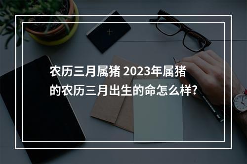 农历三月属猪 2023年属猪的农历三月出生的命怎么样?