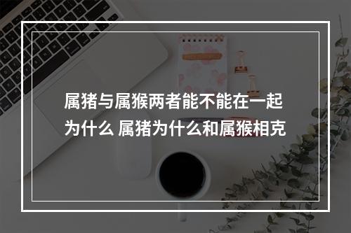 属猪与属猴两者能不能在一起 为什么 属猪为什么和属猴相克