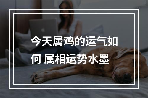 今天属鸡的运气如何 属相运势水墨