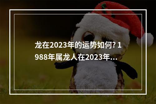 龙在2023年的运势如何? 1988年属龙人在2023年怎么样