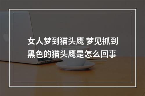 女人梦到猫头鹰 梦见抓到黑色的猫头鹰是怎么回事