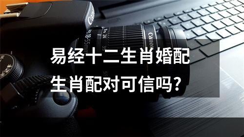 易经十二生肖婚配 生肖配对可信吗?