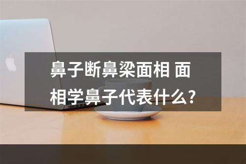 鼻子断鼻梁面相 面相学鼻子代表什么?