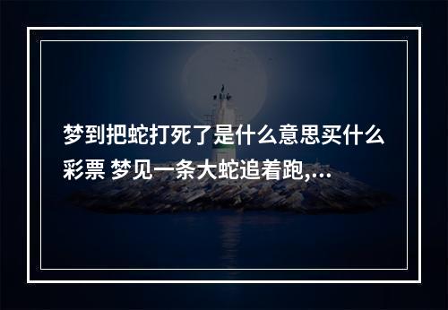 梦到把蛇打死了是什么意思买什么彩票 梦见一条大蛇追着跑,最后蛇被打死了