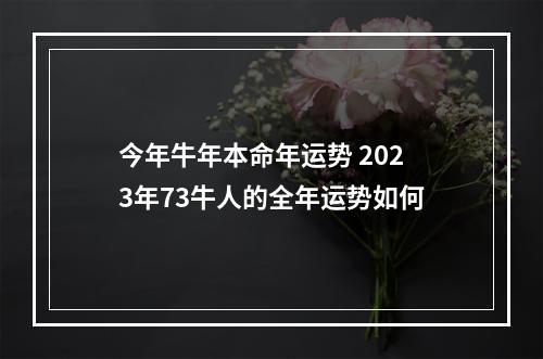 今年牛年本命年运势 2023年73牛人的全年运势如何