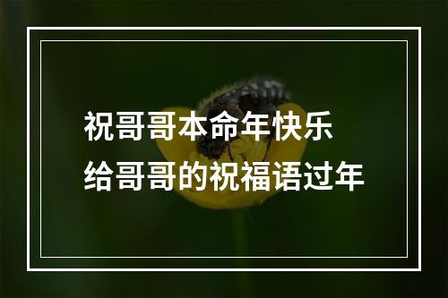 祝哥哥本命年快乐 给哥哥的祝福语过年