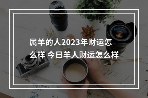 属羊的人2023年财运怎么样 今日羊人财运怎么样