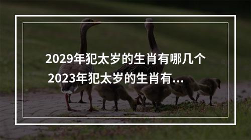 2029年犯太岁的生肖有哪几个 2023年犯太岁的生肖有哪些