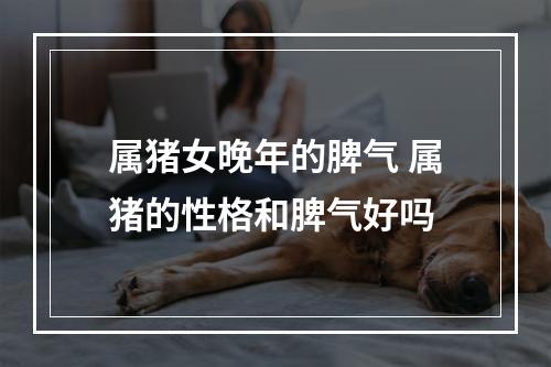 属猪女晚年的脾气 属猪的性格和脾气好吗