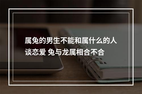 属兔的男生不能和属什么的人谈恋爱 兔与龙属相合不合