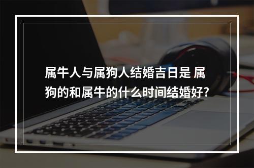 属牛人与属狗人结婚吉日是 属狗的和属牛的什么时间结婚好?
