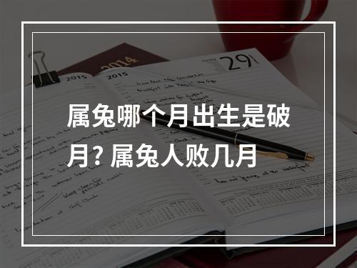 属兔哪个月出生是破月? 属兔人败几月