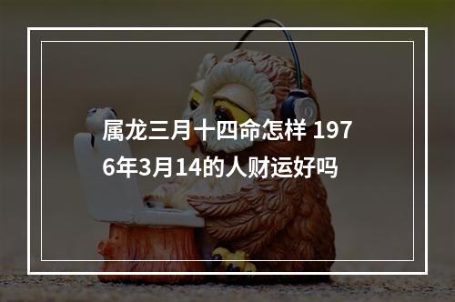 属龙三月十四命怎样 1976年3月14的人财运好吗