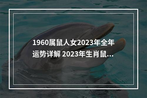 1960属鼠人女2023年全年运势详解 2023年生肖鼠运势运程