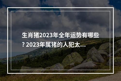 生肖猪2023年全年运势有哪些? 2023年属猪的人犯太岁戴什么好