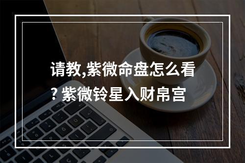 请教,紫微命盘怎么看? 紫微铃星入财帛宫