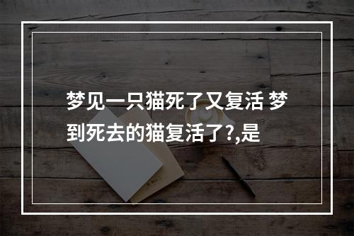 梦见一只猫死了又复活 梦到死去的猫复活了?,是