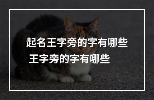 起名王字旁的字有哪些 王字旁的字有哪些