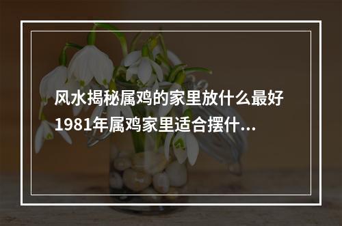风水揭秘属鸡的家里放什么最好 1981年属鸡家里适合摆什么