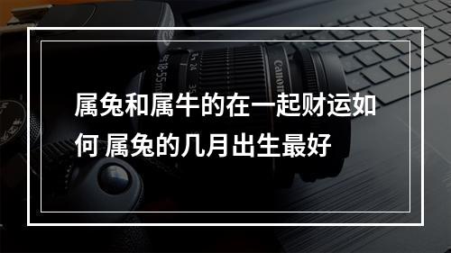 属兔和属牛的在一起财运如何 属兔的几月出生最好