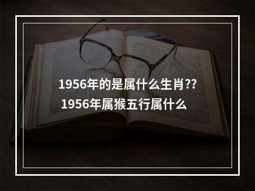 1956年的是属什么生肖?? 1956年属猴五行属什么