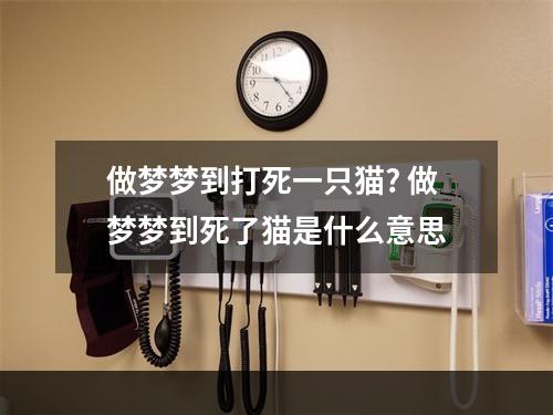 做梦梦到打死一只猫? 做梦梦到死了猫是什么意思