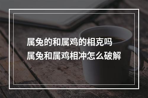 属兔的和属鸡的相克吗 属兔和属鸡相冲怎么破解