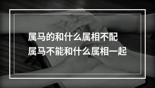 属马的和什么属相不配 属马不能和什么属相一起