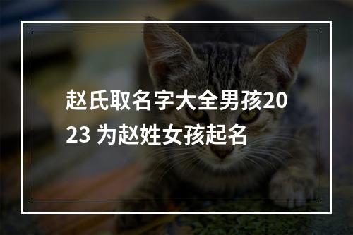 赵氏取名字大全男孩2023 为赵姓女孩起名