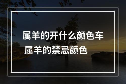 属羊的开什么颜色车 属羊的禁忌颜色