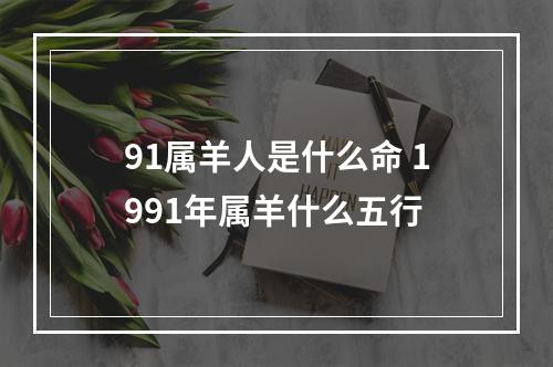 91属羊人是什么命 1991年属羊什么五行