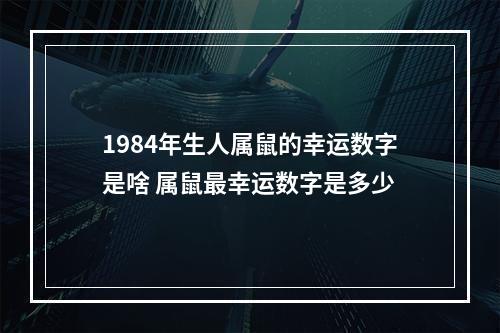 1984年生人属鼠的幸运数字是啥 属鼠最幸运数字是多少