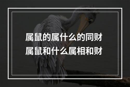 属鼠的属什么的同财 属鼠和什么属相和财