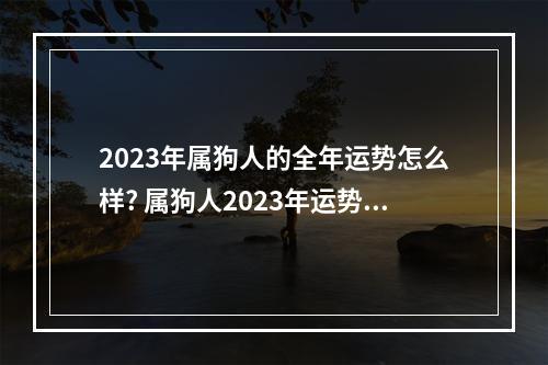 2023年属狗人的全年运势怎么样? 属狗人2023年运势运程农历网