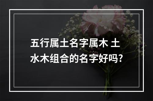 五行属土名字属木 土水木组合的名字好吗?