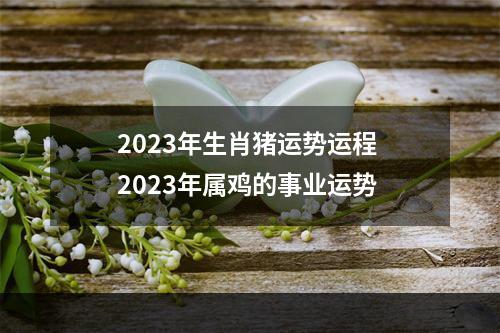 2023年生肖猪运势运程 2023年属鸡的事业运势