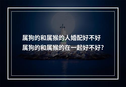 属狗的和属猴的人婚配好不好 属狗的和属猴的在一起好不好?