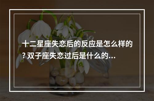 十二星座失恋后的反应是怎么样的? 双子座失恋过后是什么的状态