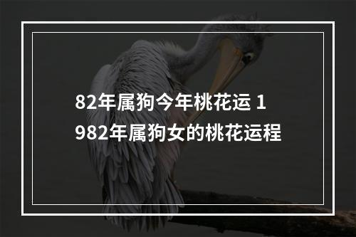 82年属狗今年桃花运 1982年属狗女的桃花运程