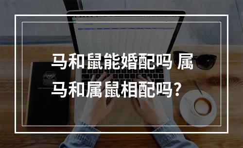 马和鼠能婚配吗 属马和属鼠相配吗?