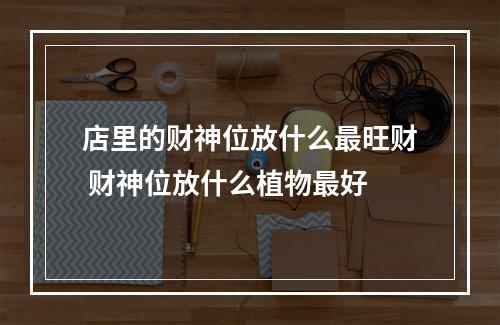 店里的财神位放什么最旺财 财神位放什么植物最好